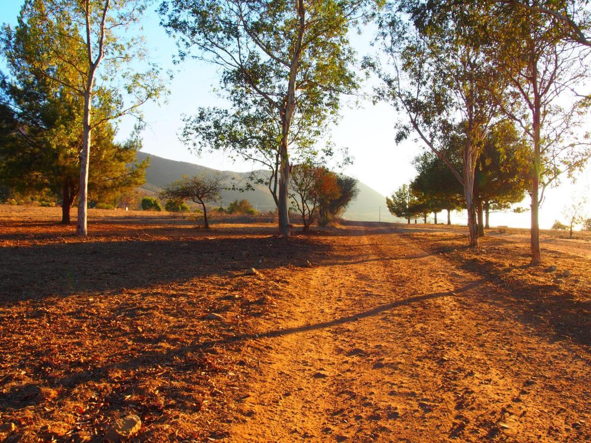 Casa Mayoral B&B Pet Friendly Valle de Guadalupe Εξωτερικό φωτογραφία