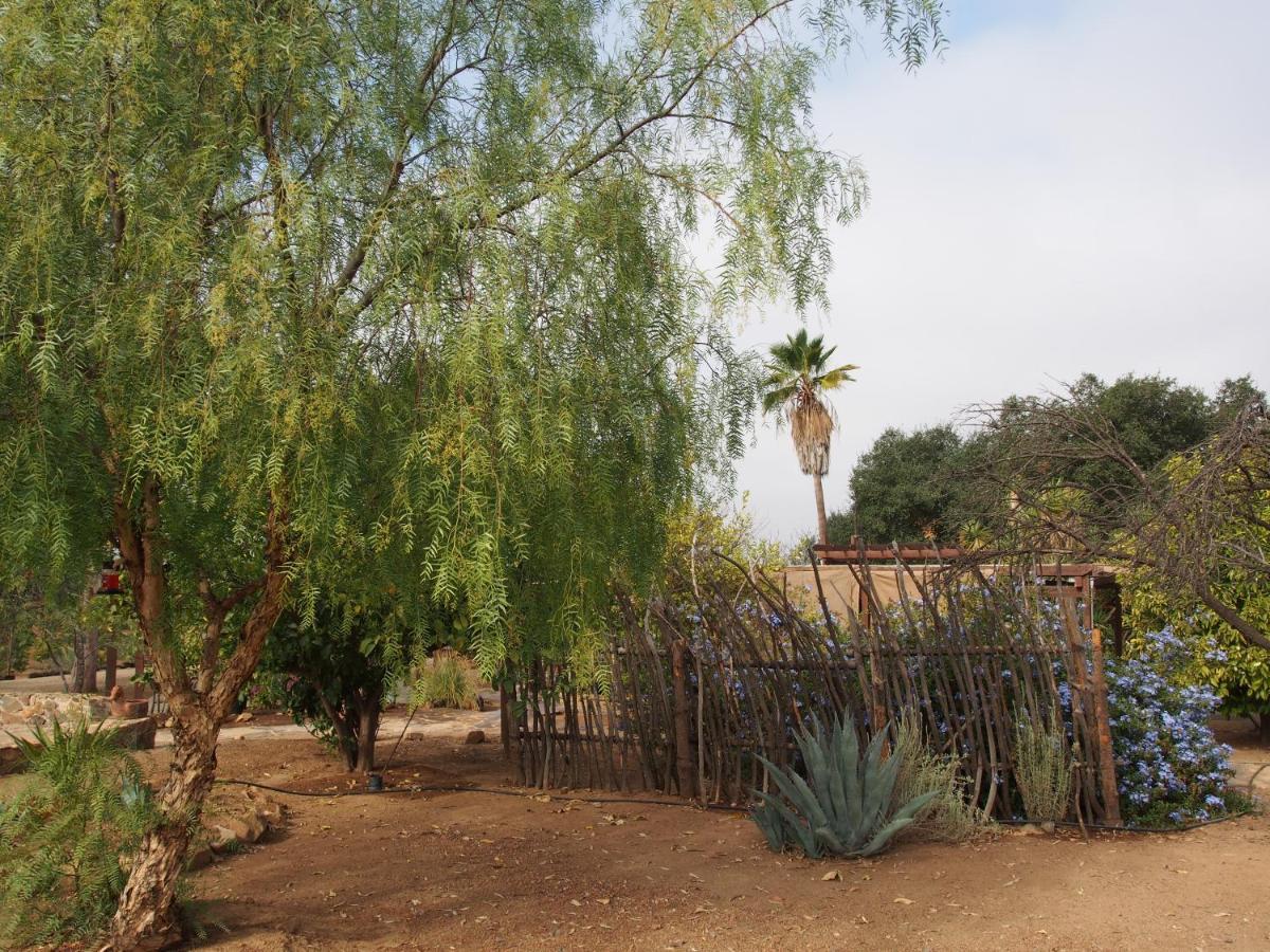 Casa Mayoral B&B Pet Friendly Valle de Guadalupe Εξωτερικό φωτογραφία