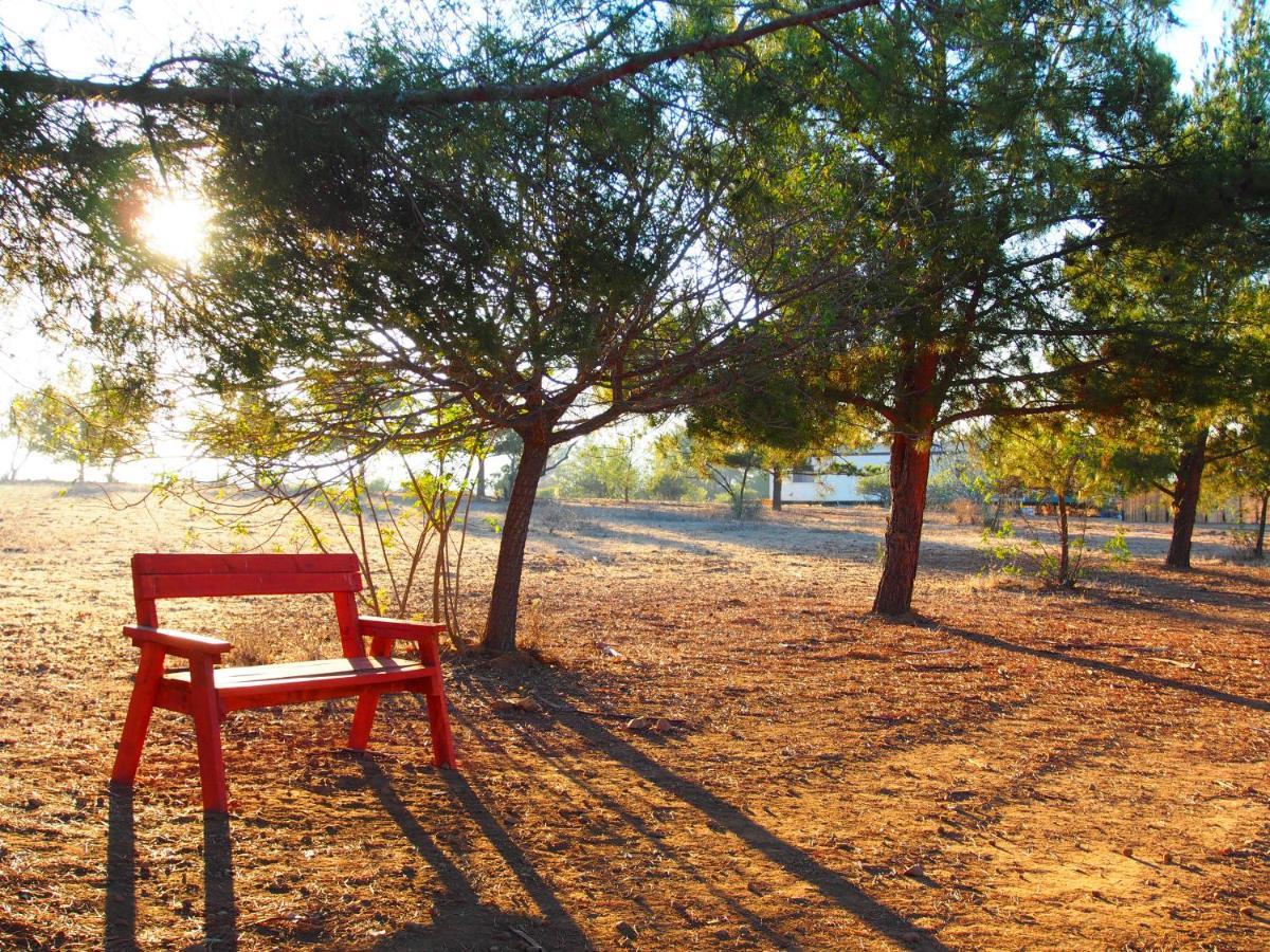 Casa Mayoral B&B Pet Friendly Valle de Guadalupe Εξωτερικό φωτογραφία