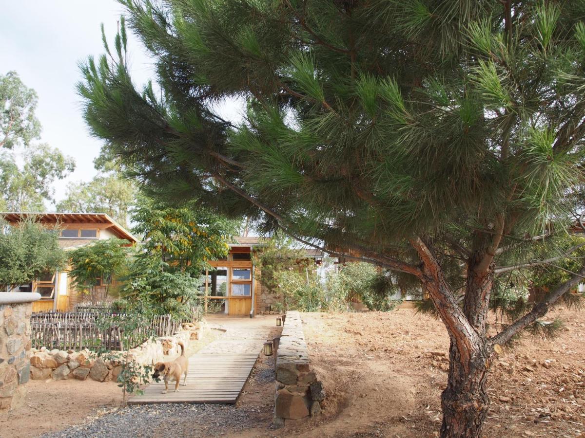 Casa Mayoral B&B Pet Friendly Valle de Guadalupe Εξωτερικό φωτογραφία