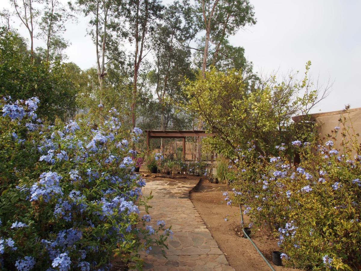 Casa Mayoral B&B Pet Friendly Valle de Guadalupe Εξωτερικό φωτογραφία