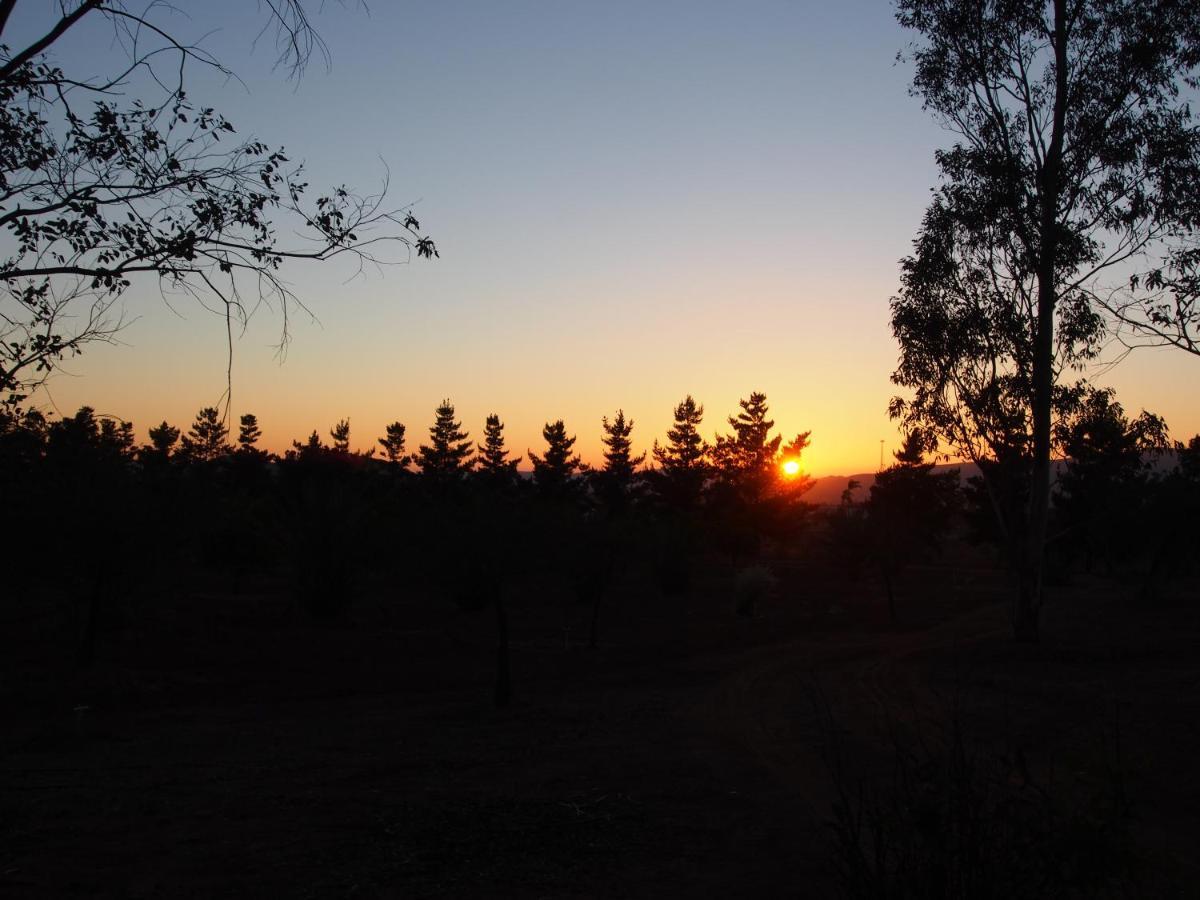 Casa Mayoral B&B Pet Friendly Valle de Guadalupe Εξωτερικό φωτογραφία