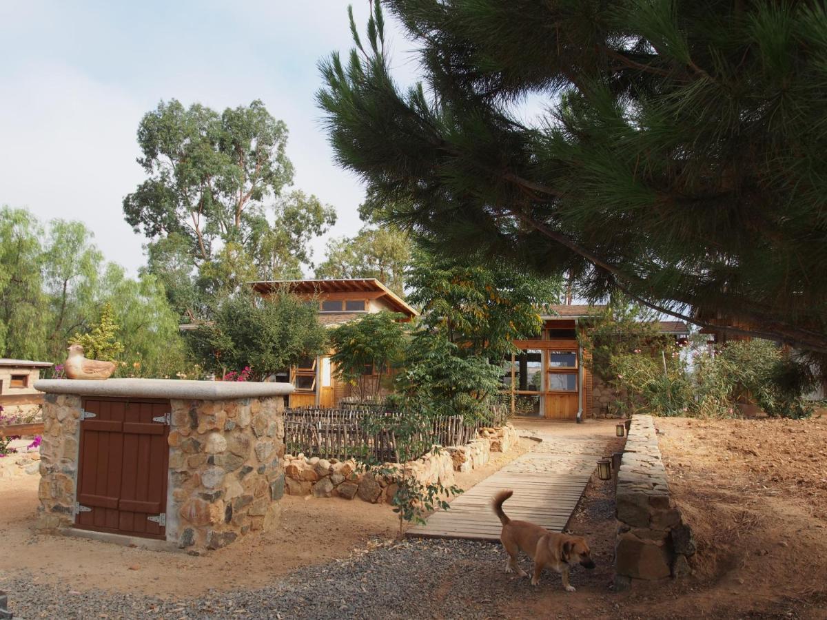 Casa Mayoral B&B Pet Friendly Valle de Guadalupe Εξωτερικό φωτογραφία