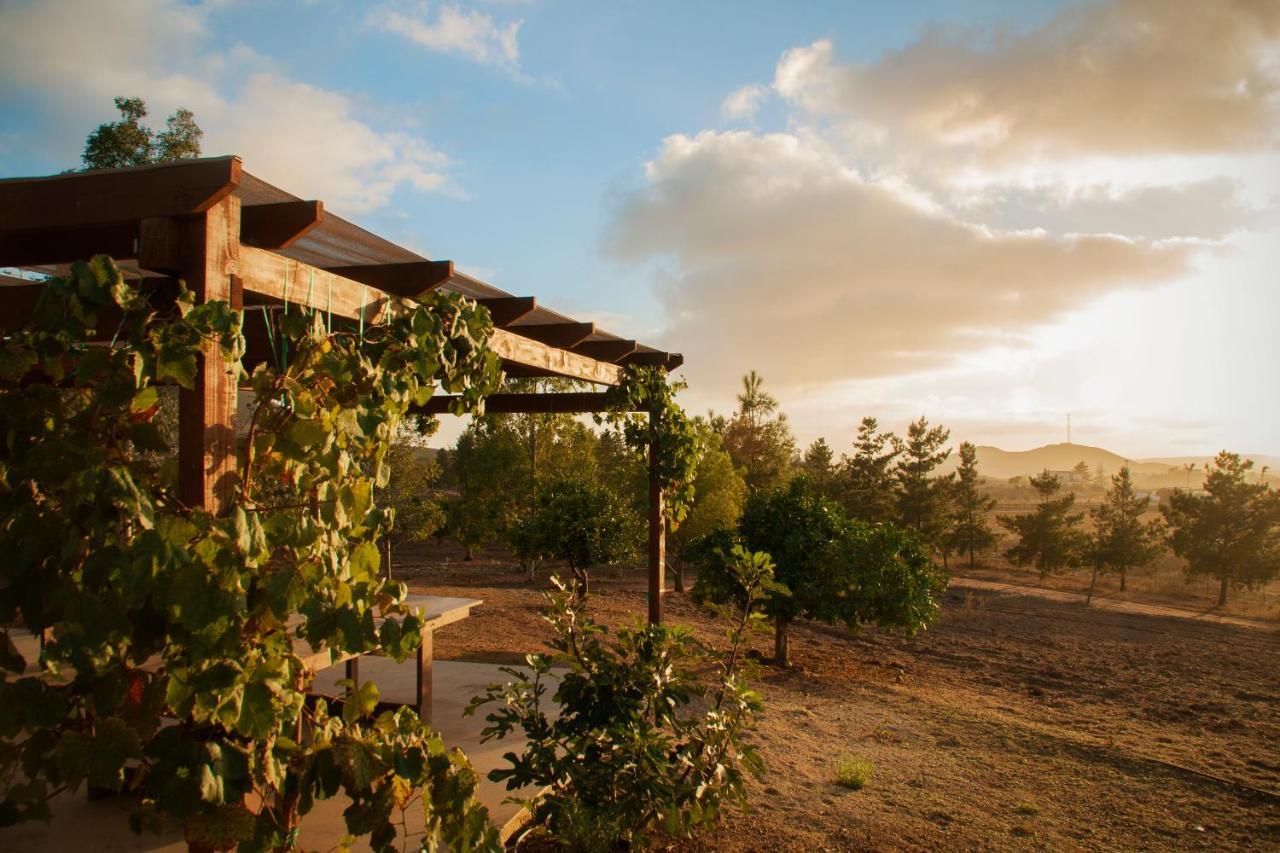 Casa Mayoral B&B Pet Friendly Valle de Guadalupe Εξωτερικό φωτογραφία