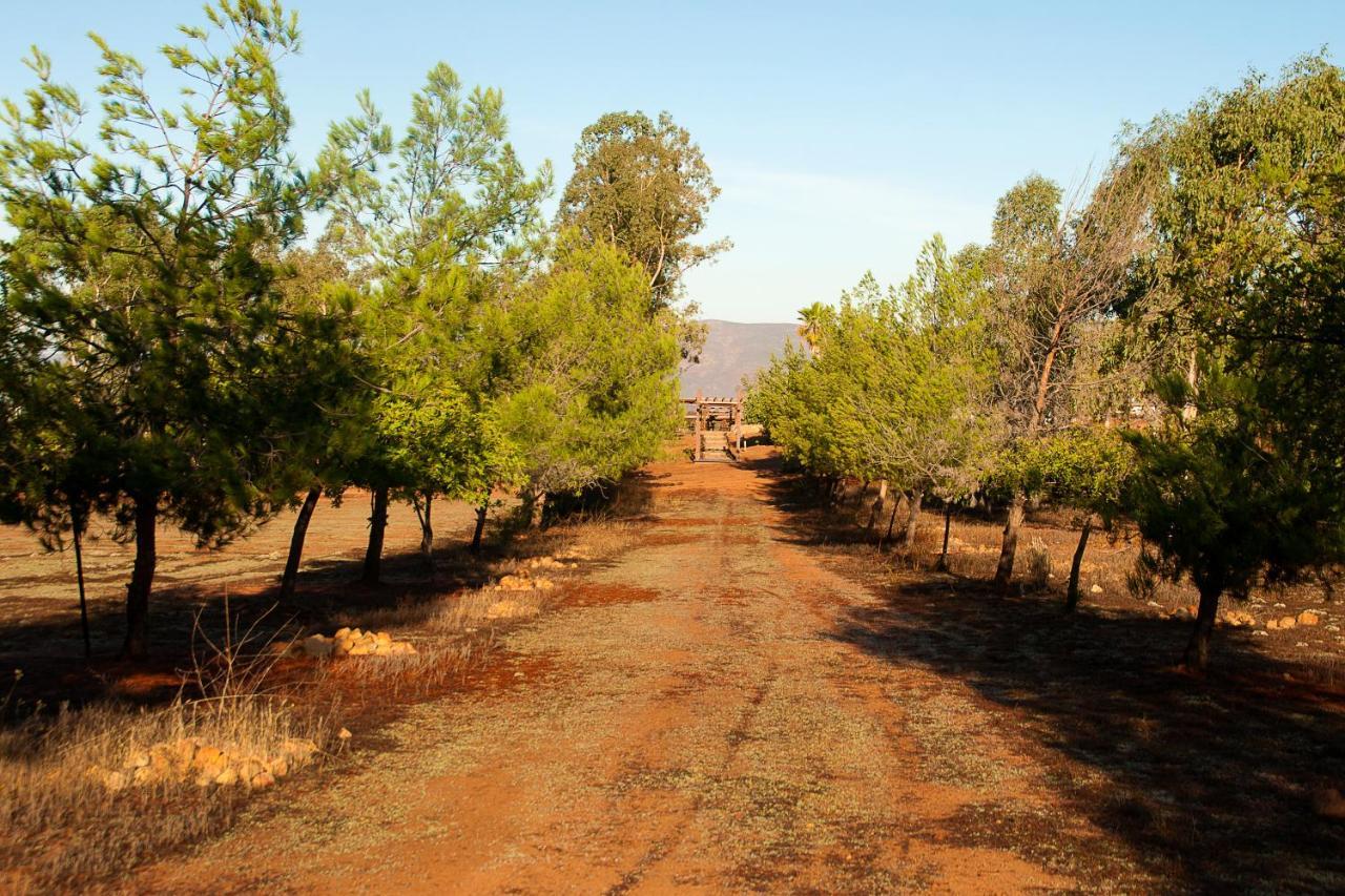 Casa Mayoral B&B Pet Friendly Valle de Guadalupe Εξωτερικό φωτογραφία