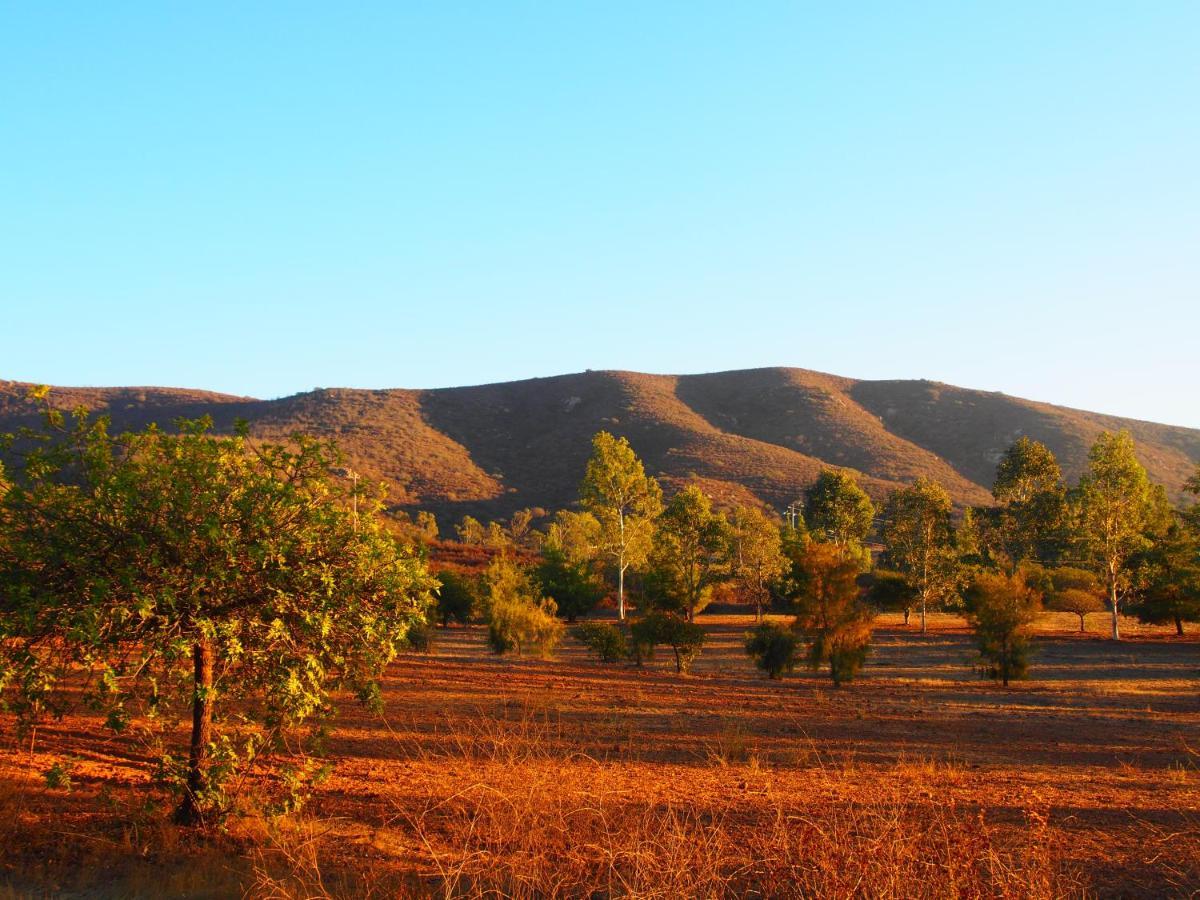Casa Mayoral B&B Pet Friendly Valle de Guadalupe Εξωτερικό φωτογραφία