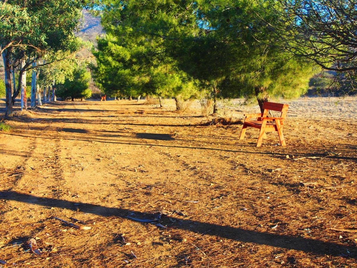 Casa Mayoral B&B Pet Friendly Valle de Guadalupe Εξωτερικό φωτογραφία