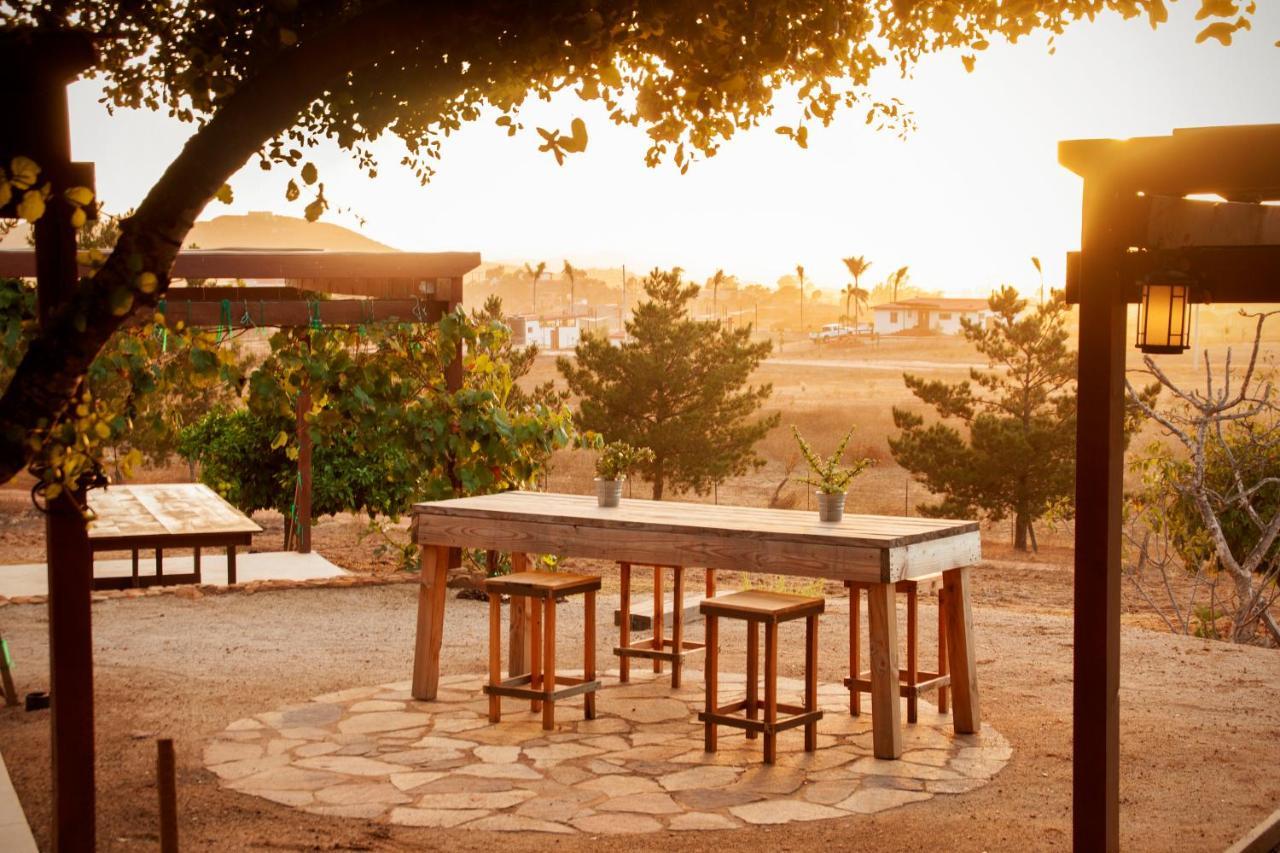 Casa Mayoral B&B Pet Friendly Valle de Guadalupe Εξωτερικό φωτογραφία