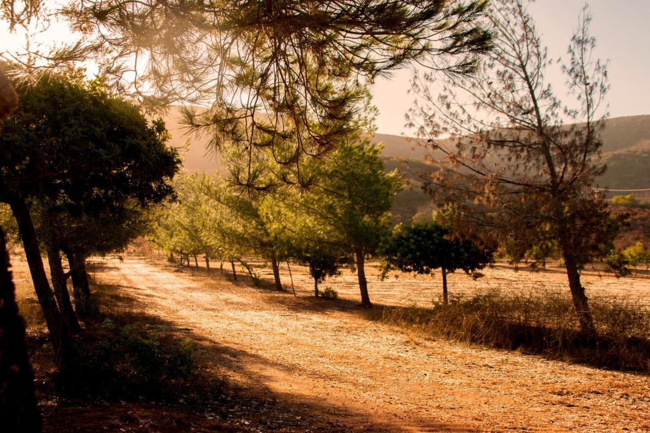 Casa Mayoral B&B Pet Friendly Valle de Guadalupe Εξωτερικό φωτογραφία