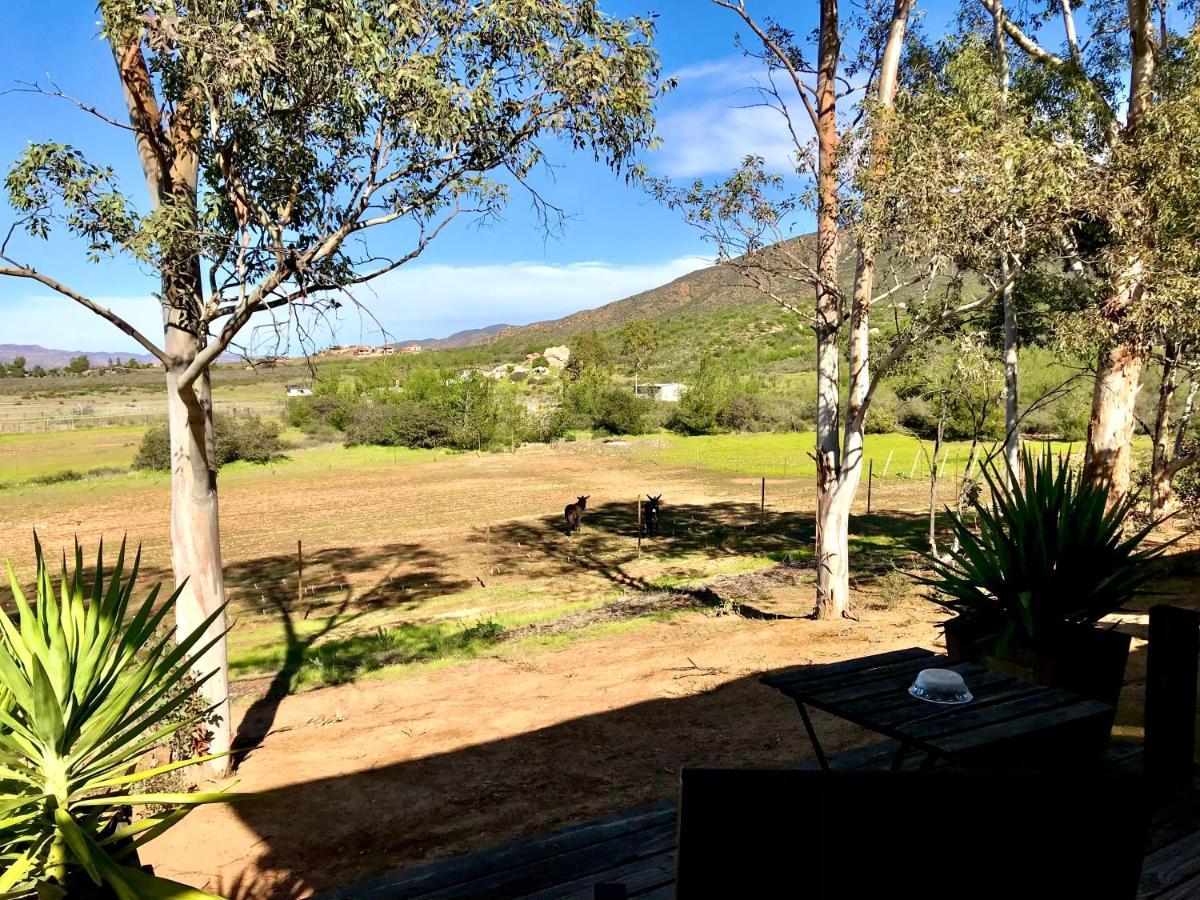 Casa Mayoral B&B Pet Friendly Valle de Guadalupe Εξωτερικό φωτογραφία