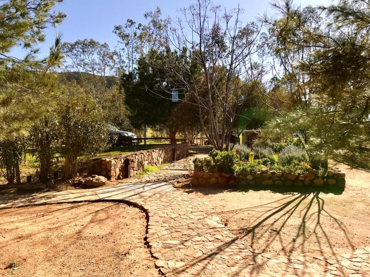 Casa Mayoral B&B Pet Friendly Valle de Guadalupe Εξωτερικό φωτογραφία