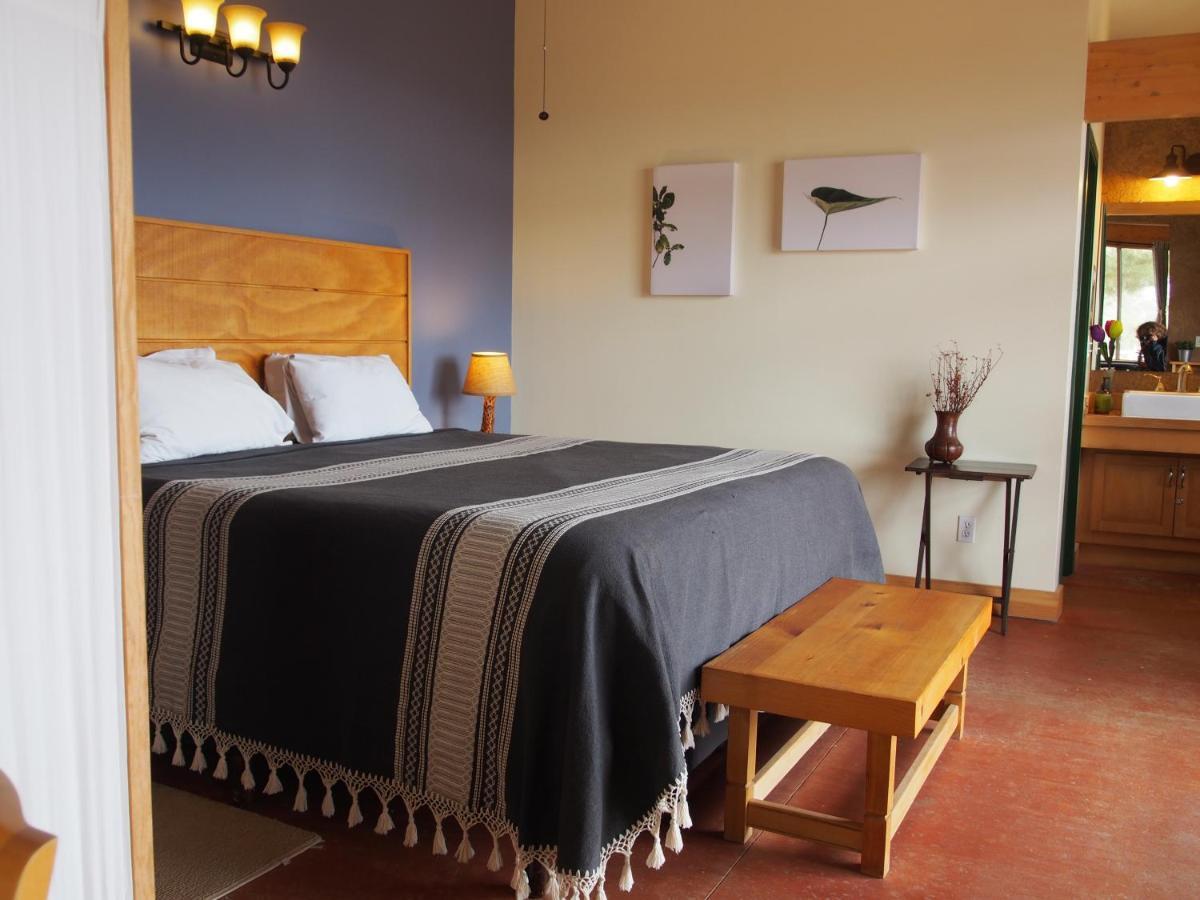 Casa Mayoral B&B Pet Friendly Valle de Guadalupe Εξωτερικό φωτογραφία