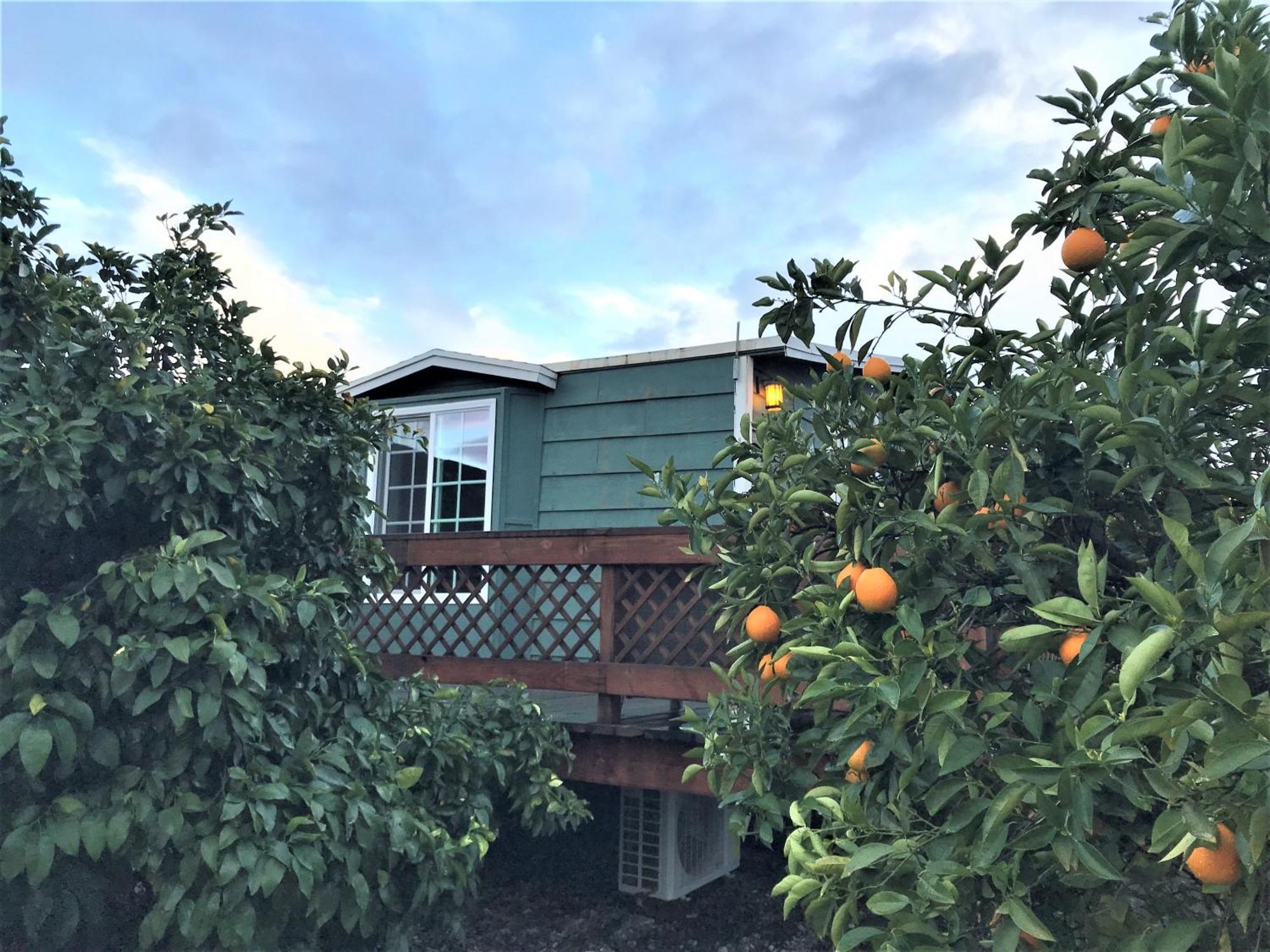 Casa Mayoral B&B Pet Friendly Valle de Guadalupe Εξωτερικό φωτογραφία