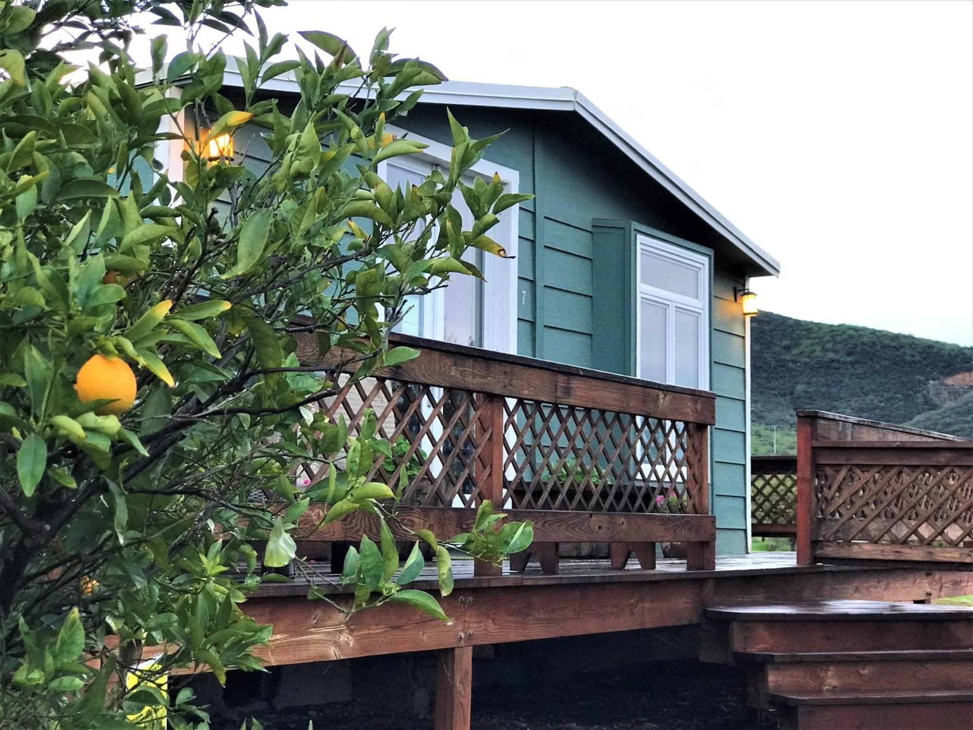 Casa Mayoral B&B Pet Friendly Valle de Guadalupe Εξωτερικό φωτογραφία